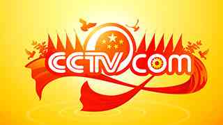 2008年“两会” - CCTV.com节日LOGO