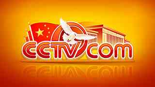 2009年“两会” - CCTV.com节日LOGO