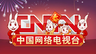 2011兔年春节 - CNTV节日LOGO