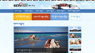 藏语台页面设计